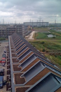 Biodiverse Green Roofs at Barking Riverside - Part of wider Wildlife Management Strategy - AccuRoof