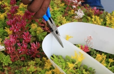 LiveRoof Lite Green Roof Installation Step2