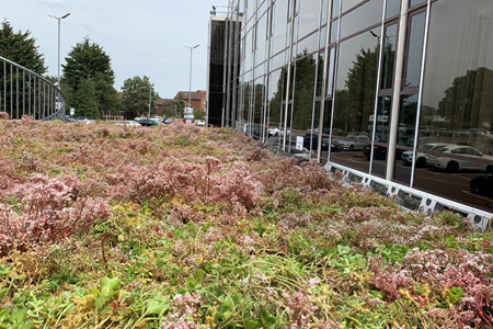 Modular Green Roof Downloads 2