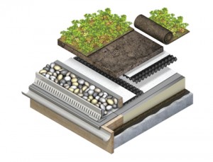 Green Roofing Render
