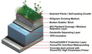 biodiverse brown roof