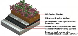 extensive green roof