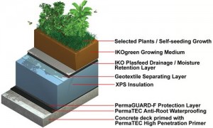 intensive roof garden