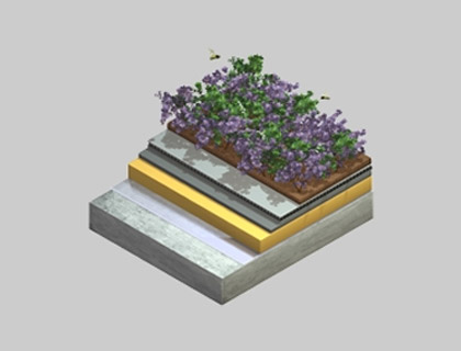 Extensive Green Roof Render