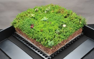 sig dand t blackdown green roofing