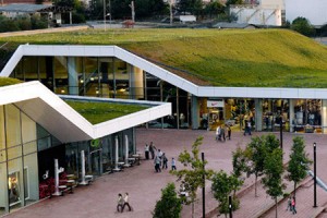 Green Roof Steeper - Maydan