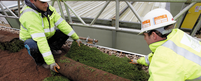 PermaTEC Biodiverse Roof