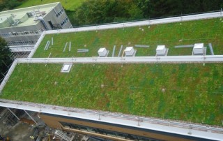 Built Up Extensive Green Roof - Aberystwyth University