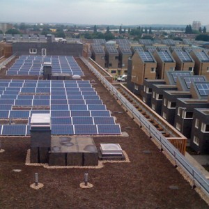 Biodiverse Green Roofs at Barking Riverside - Apartment block - SIG Design and Technology