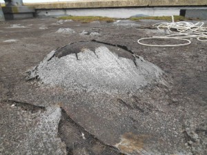 Blisters Flat Roof Leaks