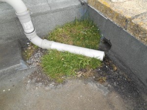 Flat Roof Leaks