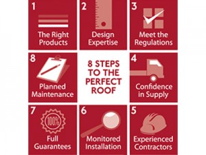 8 Steps to a Perfect Roof Infographic