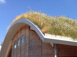 Green Roof Systems