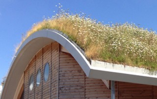 Green Roof Systems