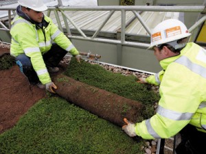 benefits of a green roof