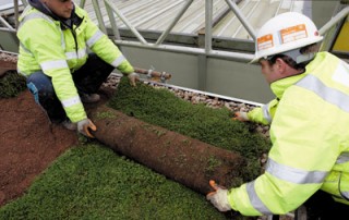 benefits of a green roof