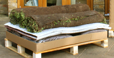 Green roofing image