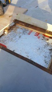 Failed Flat Roof Problems - Insulation Exposed