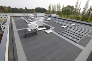 flat roof school extension with pv and plant