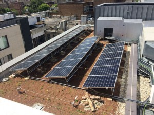 Blue Roof Best Practice - Biodiverse blue roof with photovoltaic panels