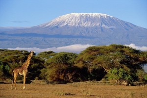 Mount Kilimanjaro by Global Landscapes Forum