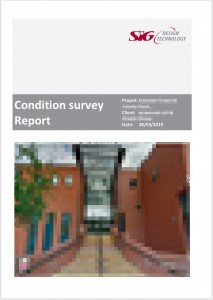 Flat Roof Survey Report