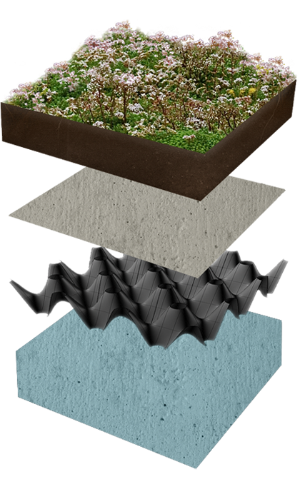 Built-up green roof