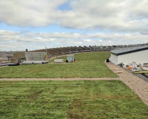Blue Roofs and BS6229