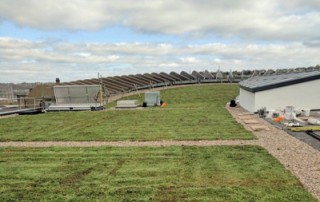 Blue Roofs and BS6229