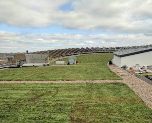 Blue Roof Installation at Oastler College Huddersfield