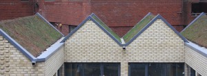 Residential Single Ply - Spencer Courtyard, Finchley, London