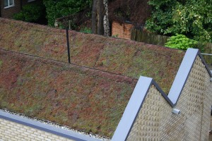 Residential Single Ply - Spencer Courtyard, Finchley, London