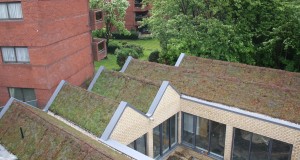 Residential Single Ply - Spencer Courtyard, Finchley, London
