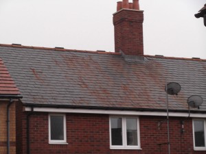 Rusting Slate Roof
