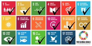 zero carbon mastic asphalt - sustainable development goals