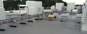 PU Roof with plant